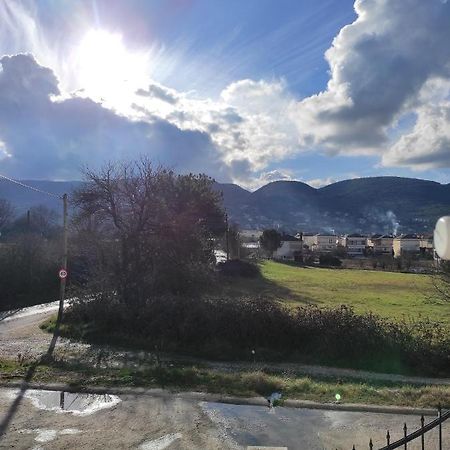 Amaltheia Studio Apartment Ioannina Exterior foto