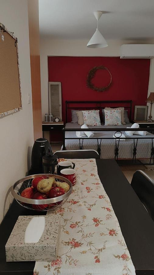 Amaltheia Studio Apartment Ioannina Exterior foto