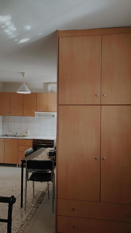 Amaltheia Studio Apartment Ioannina Exterior foto